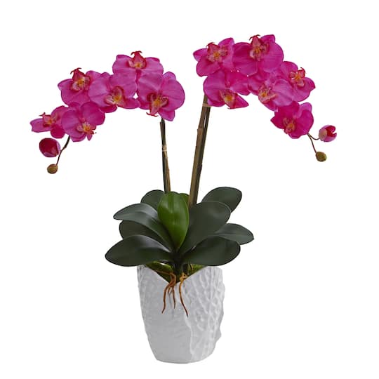 23&#x27;&#x27; Pink Double Moth Orchid in White Ceramic Vase